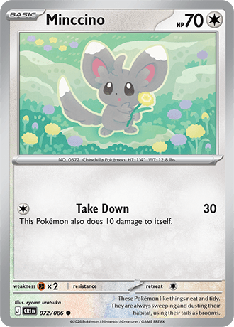 Minccino
