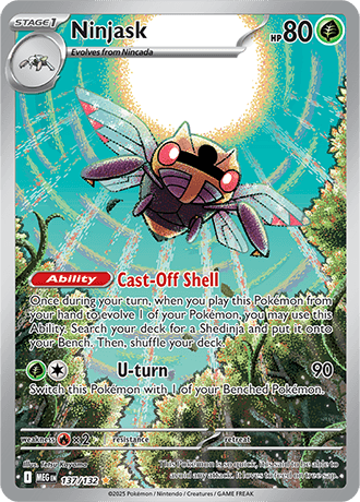Ninjask
