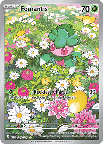 Fomantis