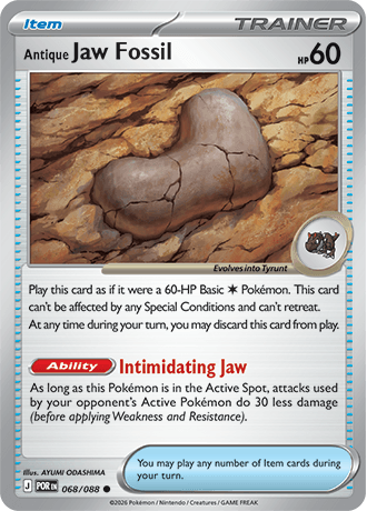 Antique Jaw Fossil